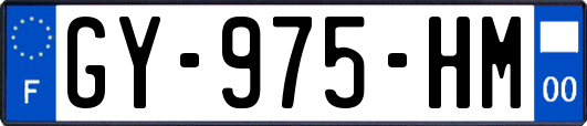 GY-975-HM