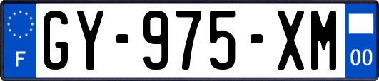 GY-975-XM