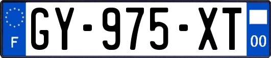 GY-975-XT