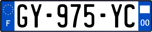 GY-975-YC