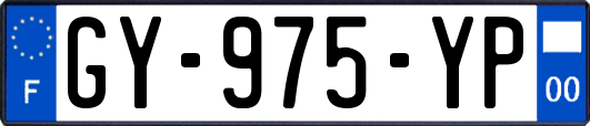 GY-975-YP
