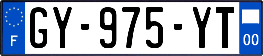 GY-975-YT