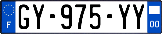 GY-975-YY
