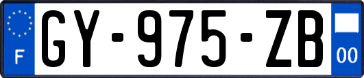 GY-975-ZB