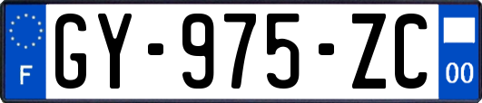 GY-975-ZC