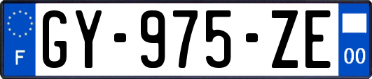 GY-975-ZE