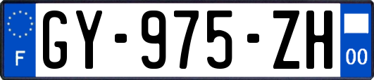 GY-975-ZH