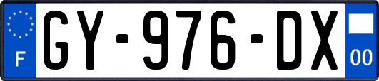 GY-976-DX
