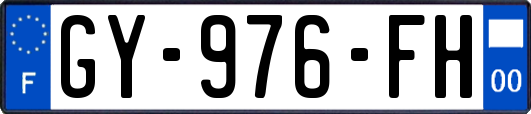 GY-976-FH