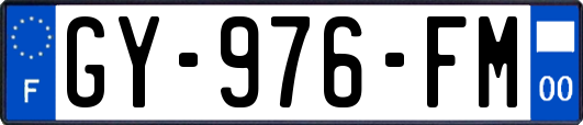 GY-976-FM