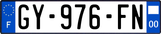 GY-976-FN