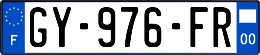 GY-976-FR