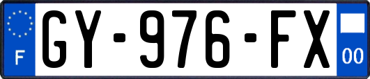 GY-976-FX