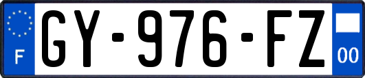 GY-976-FZ