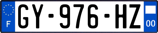 GY-976-HZ