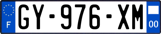 GY-976-XM