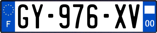GY-976-XV