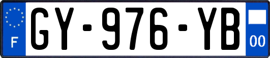 GY-976-YB