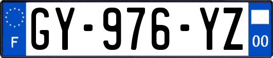 GY-976-YZ