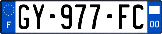 GY-977-FC