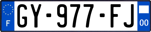 GY-977-FJ