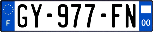GY-977-FN