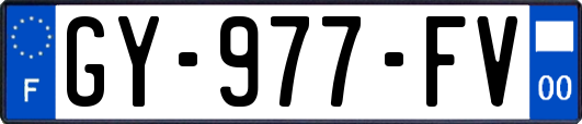 GY-977-FV