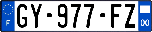 GY-977-FZ