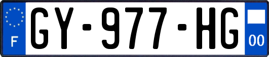 GY-977-HG
