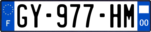 GY-977-HM
