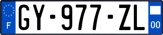 GY-977-ZL