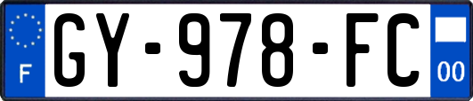 GY-978-FC