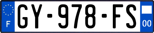 GY-978-FS