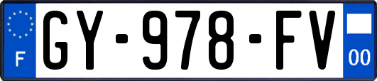 GY-978-FV