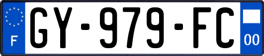 GY-979-FC