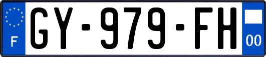 GY-979-FH
