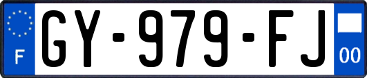 GY-979-FJ