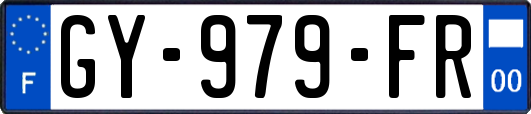 GY-979-FR