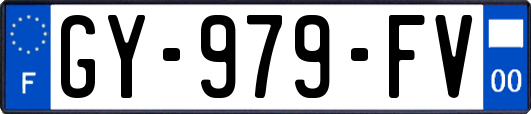 GY-979-FV
