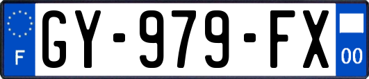 GY-979-FX