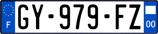 GY-979-FZ