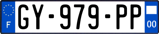 GY-979-PP