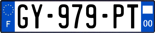 GY-979-PT