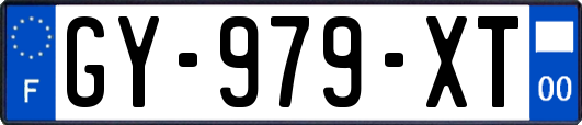 GY-979-XT