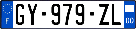 GY-979-ZL
