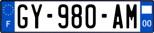 GY-980-AM