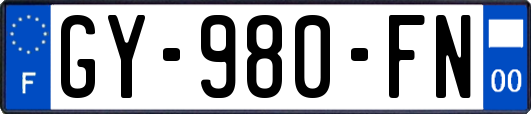 GY-980-FN