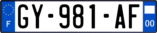 GY-981-AF