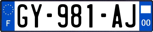 GY-981-AJ