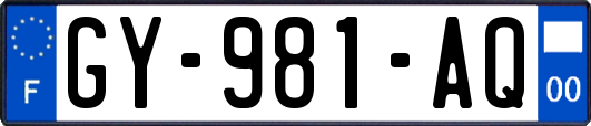 GY-981-AQ